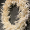 Innocence – Image 4