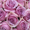 Rose 60 cm de long – Image 2